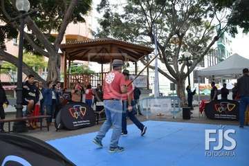 Los Llanos de Telde, en el día grande de sus fiestas patronales de 2019 (Foto Francisco Javier Santana)
